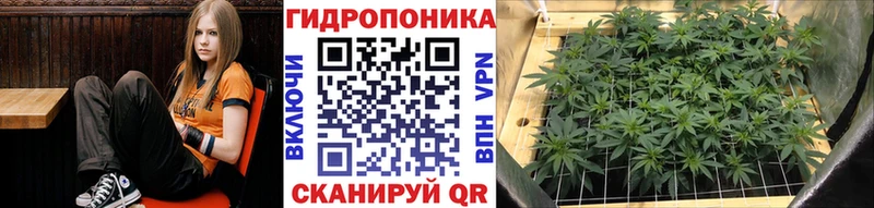 Сколько стоит Тосно hydra зеркало  АМФ  ГАШ  Марихуана 