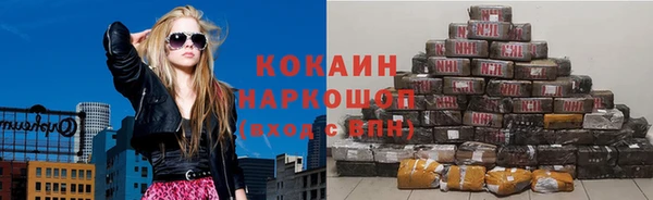 прущий лед Алзамай