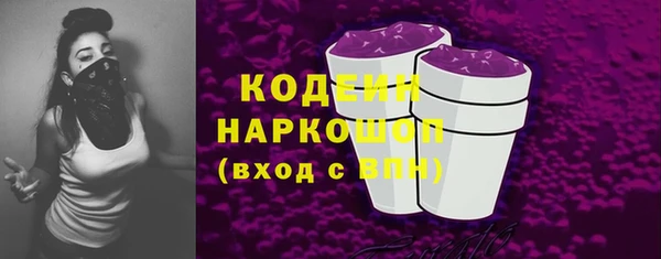 прущий лед Алзамай