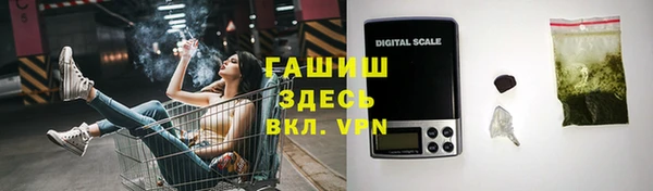 прущий лед Алзамай