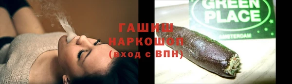 прущий лед Алзамай