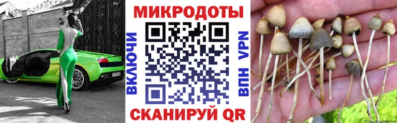omg как зайти  купить   Тосно  Галлюциногенные грибы GOLDEN TEACHER 